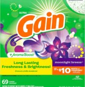 Gain Powder Laundry Detergent for Regular and HE Washers, Moonlight Breeze Scent, 93 ounces (Packaging May Vary) Best Price